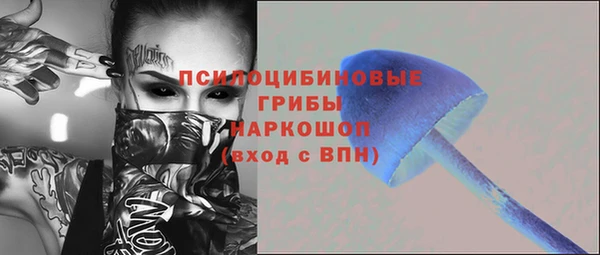 твердый Аркадак