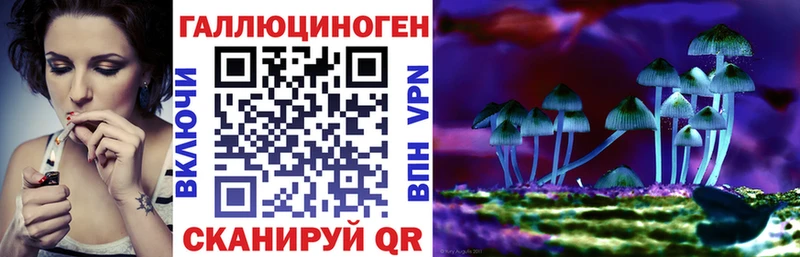 Галлюциногенные грибы Cubensis  Светлогорск 